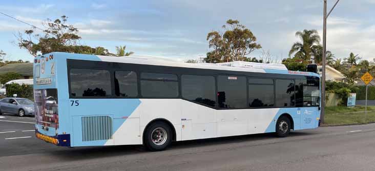 Red Bus Iveco Metro Express 75